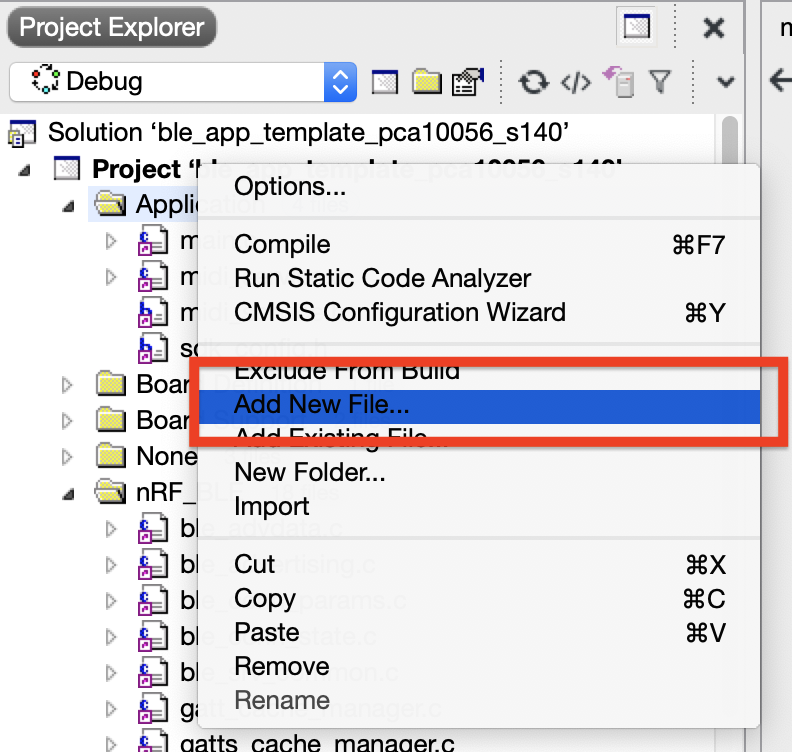 Adding a New File in SES