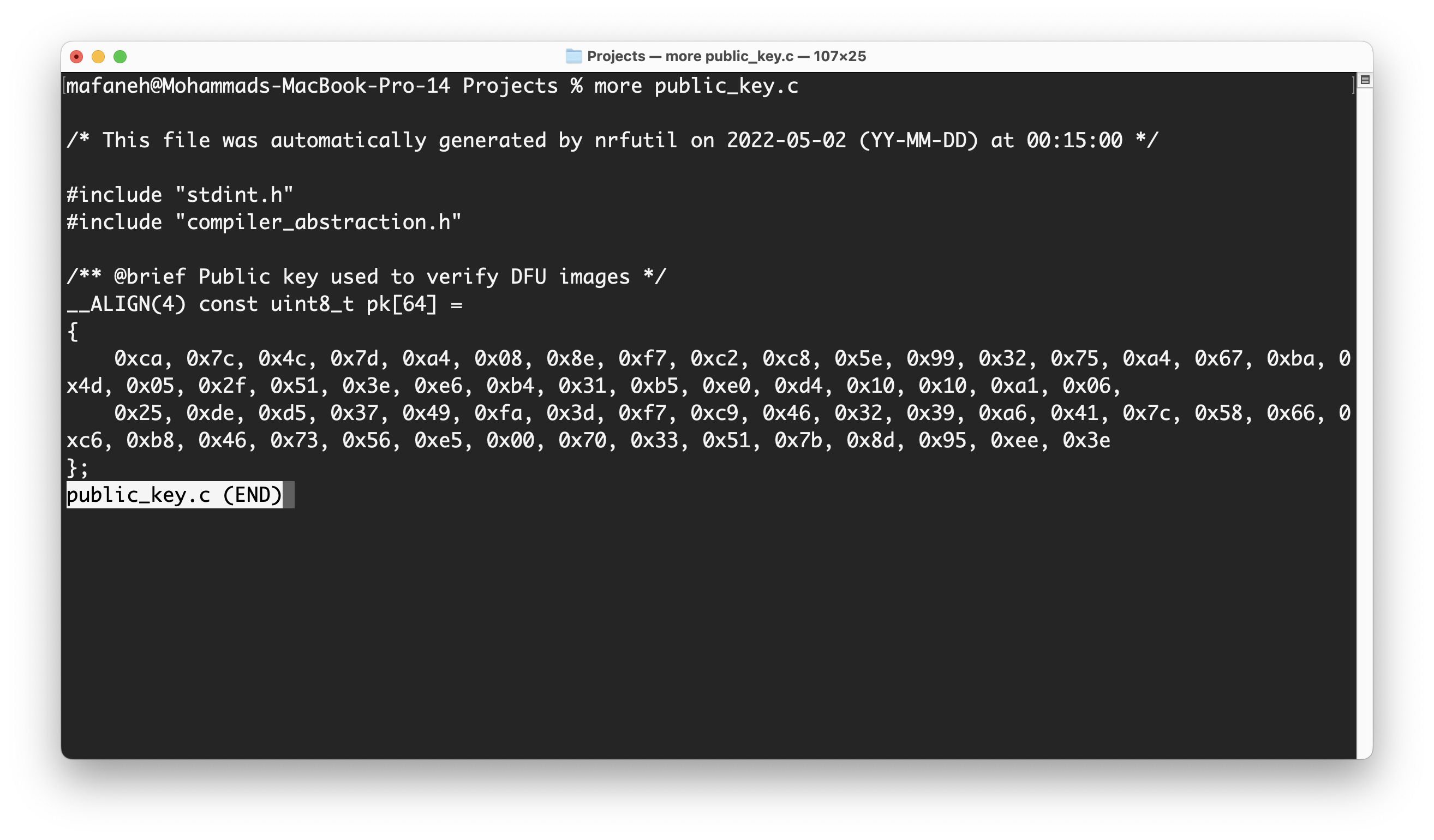 Contents of generated public_key.c file